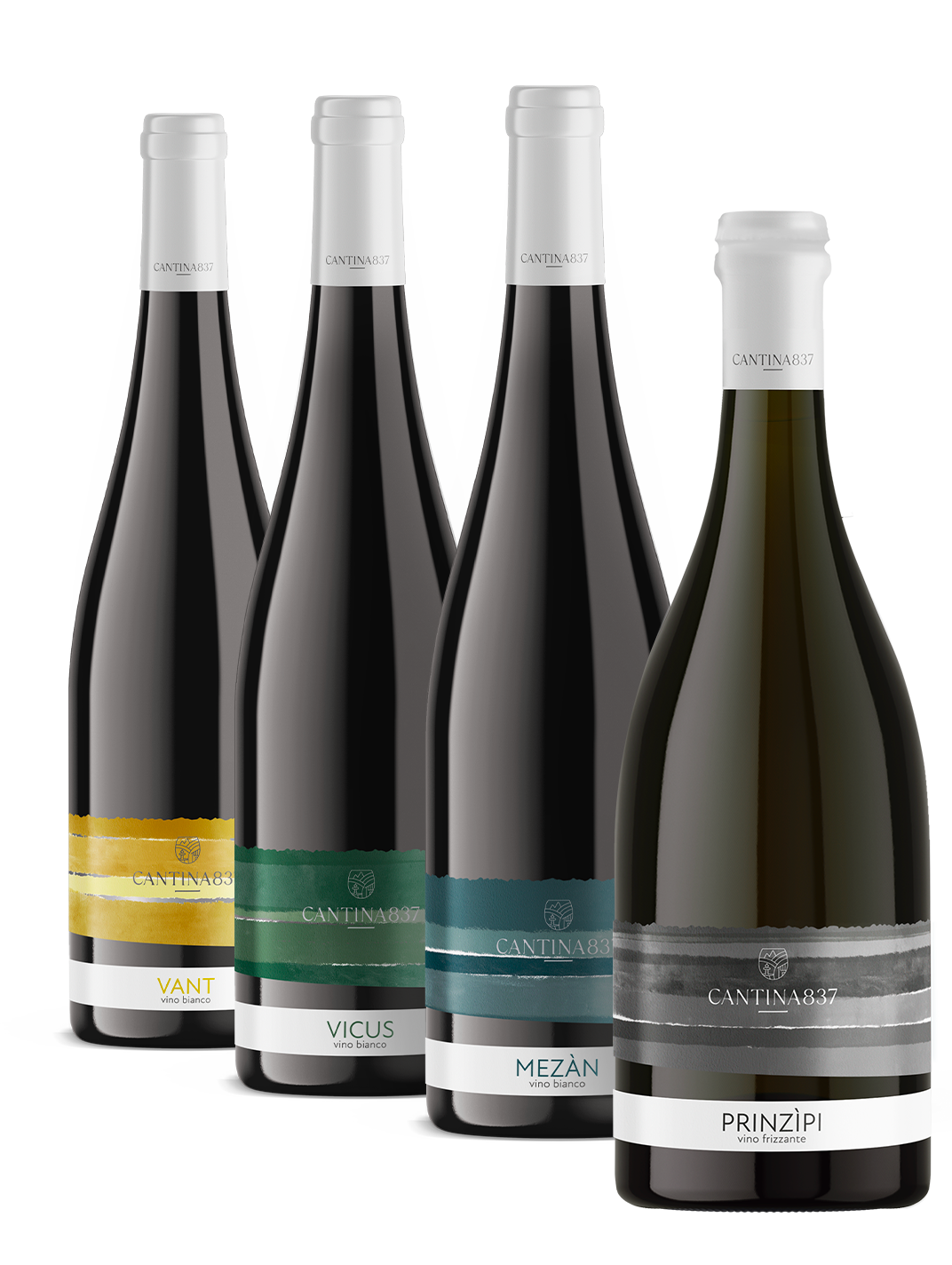 vini_composizione_vant vini cantina 837